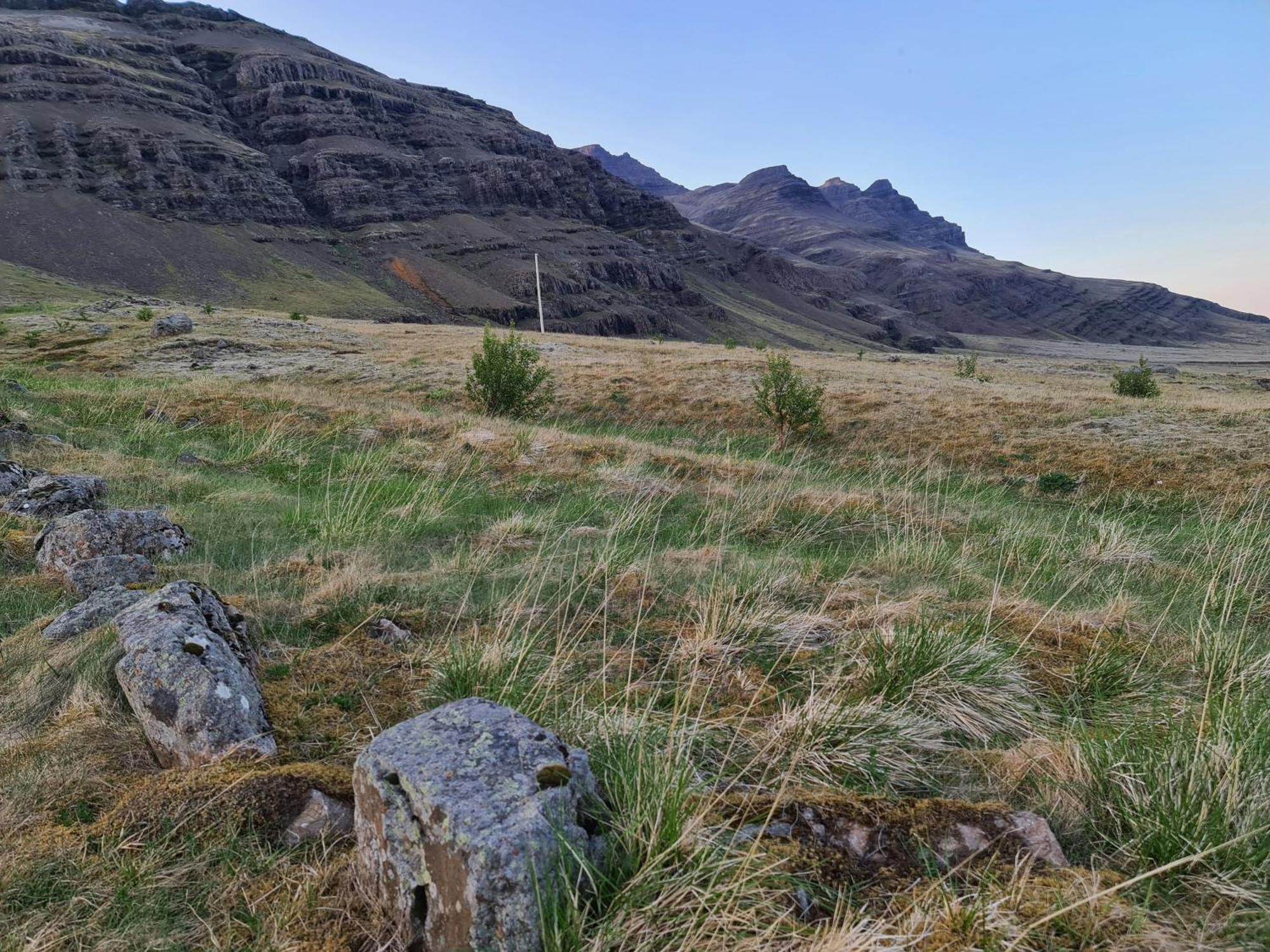 Geithellar Villa Djúpivogur Exteriör bild
